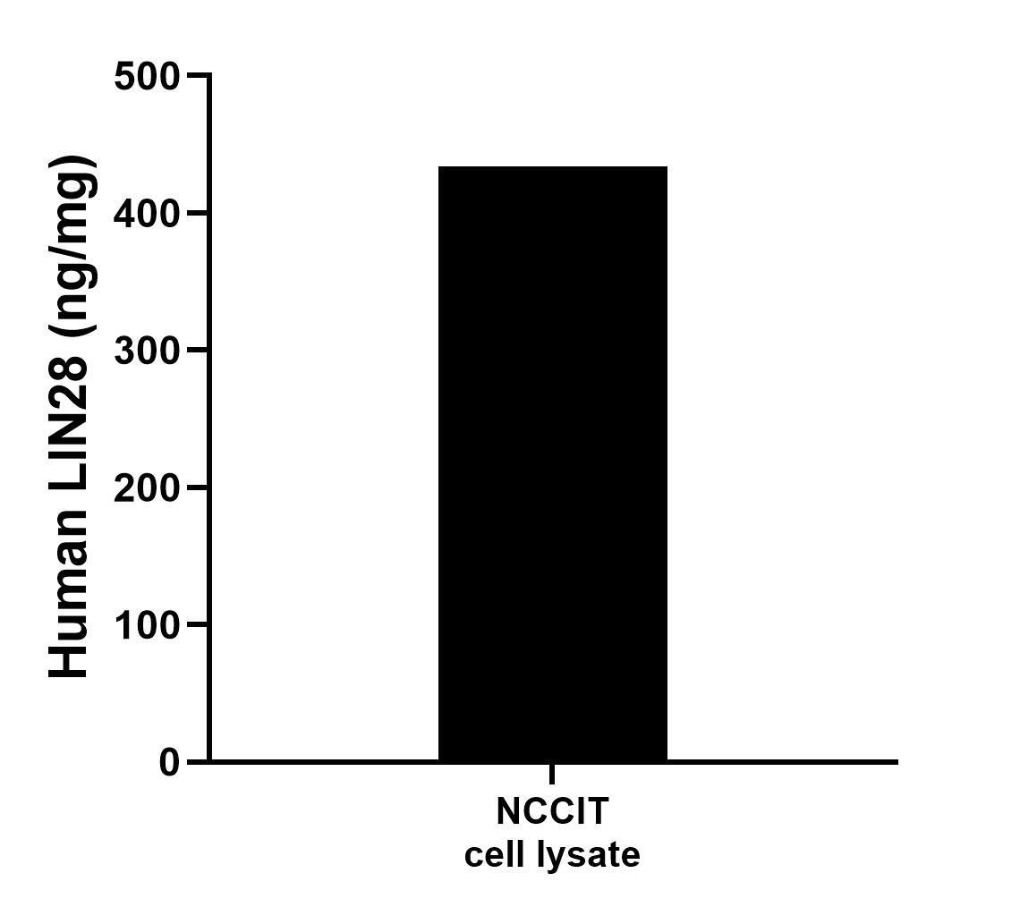 Sample test of MP00699-1